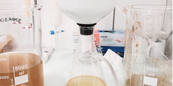 How do we produce Domoic Acid?: Extraction process